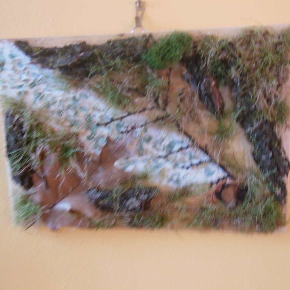 Moss & Bark Original Artwork